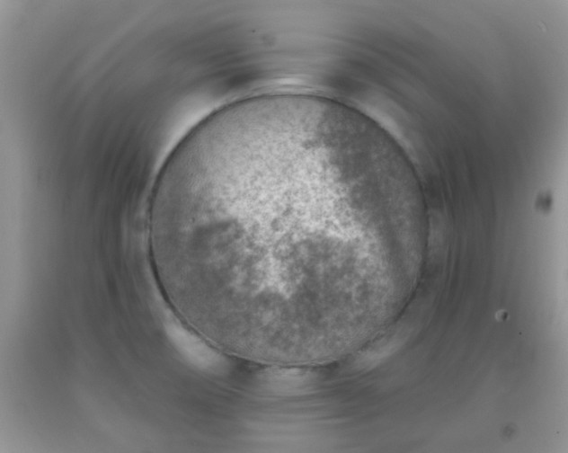 X0000092041474200709191050