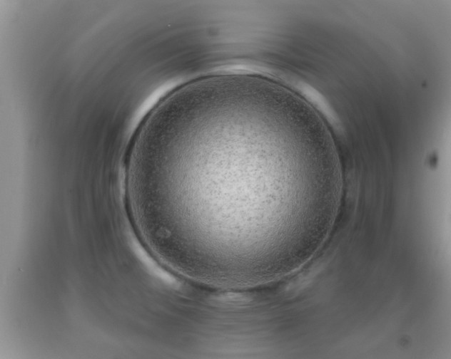 X0000092041476200709191050