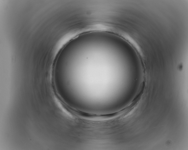 X0000092041477200709191050