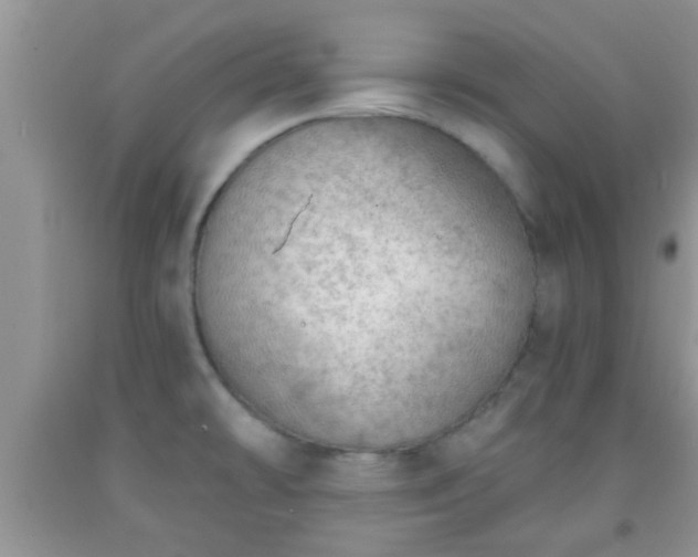 X0000092041478200709191050