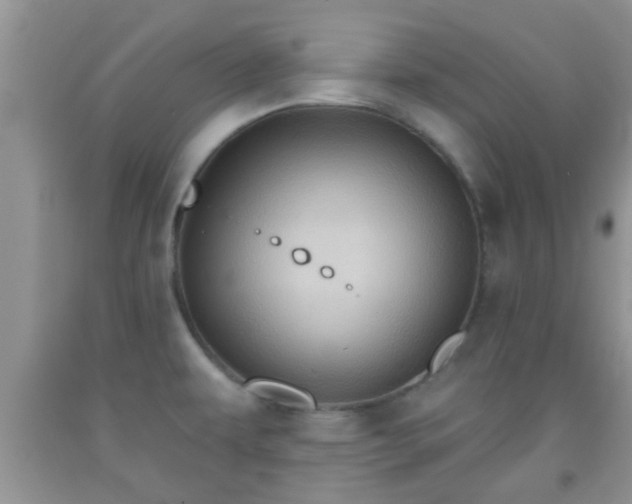 X0000092041479200709191050