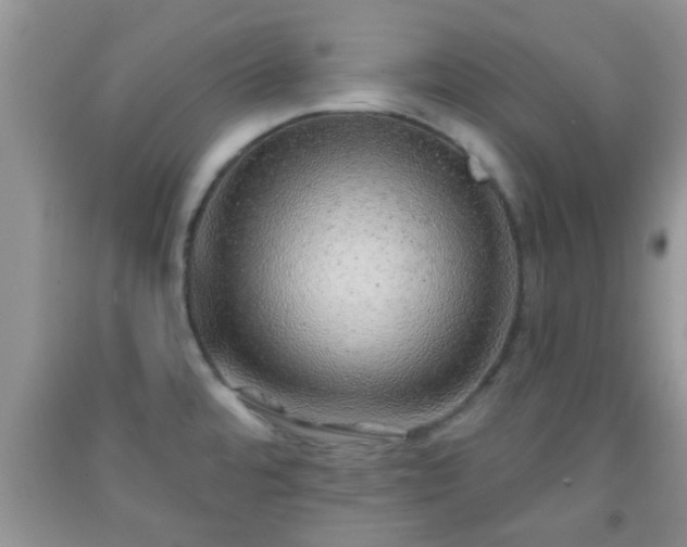 X0000092041480200709191050