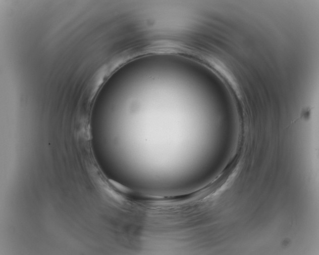 X0000092041481200709191050