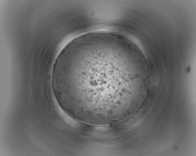 X0000092041483200709191050