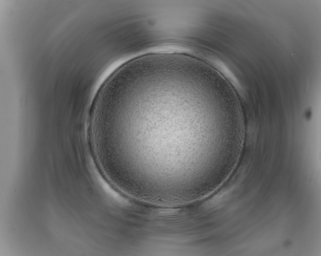 X0000092041484200709191050