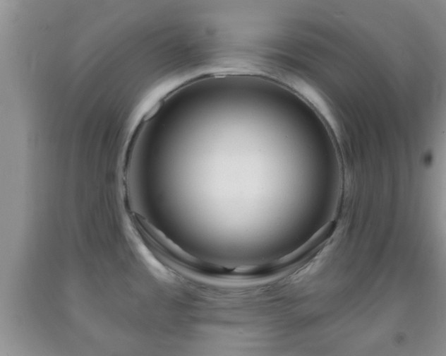 X0000092041485200709191050