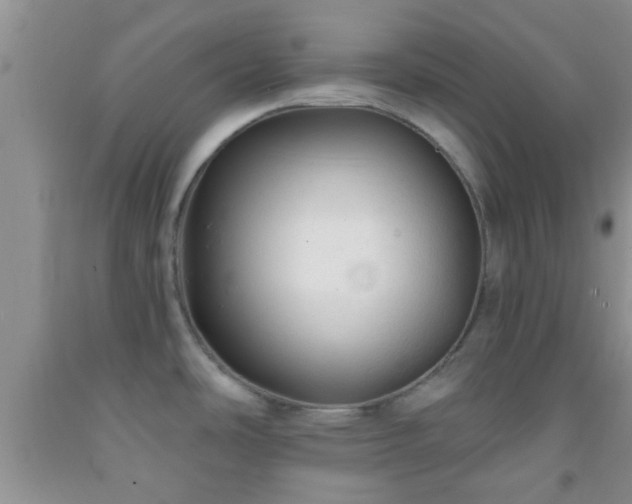 X0000092041486200709191050