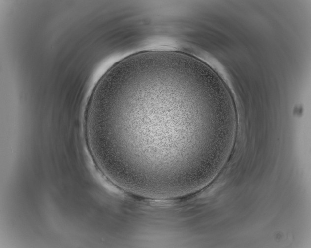 X0000092041488200709191050