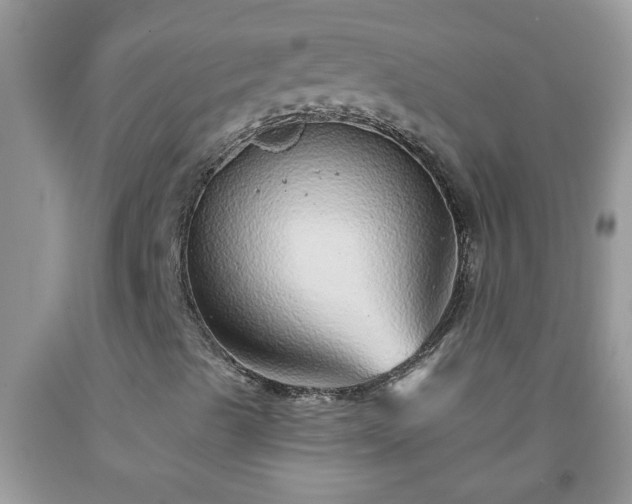 X0000092041489200709191049