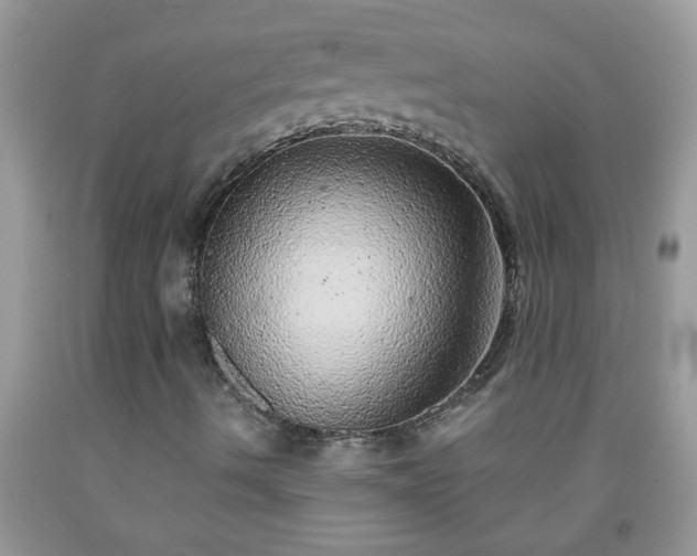 X0000092041490200709191049