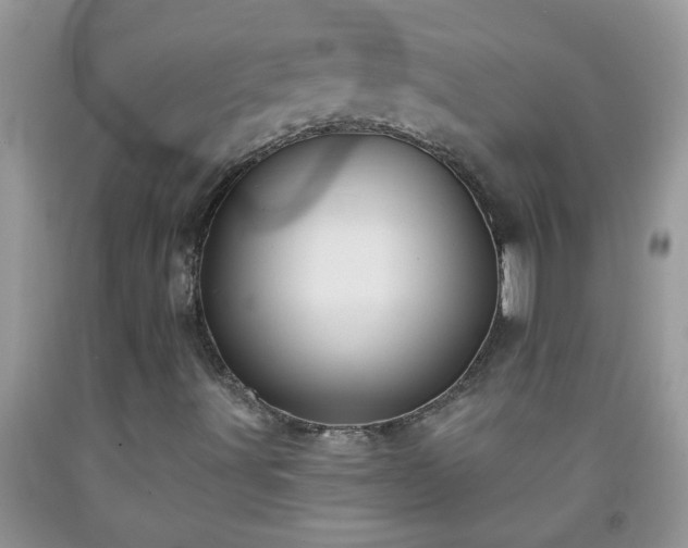 X0000092041491200709191049