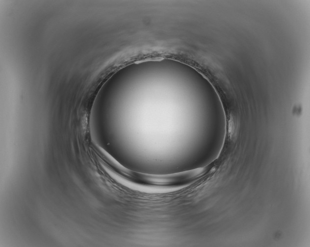 X0000092041492200709191049