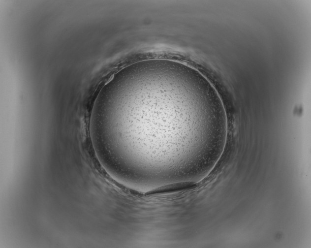 X0000092041493200709191049