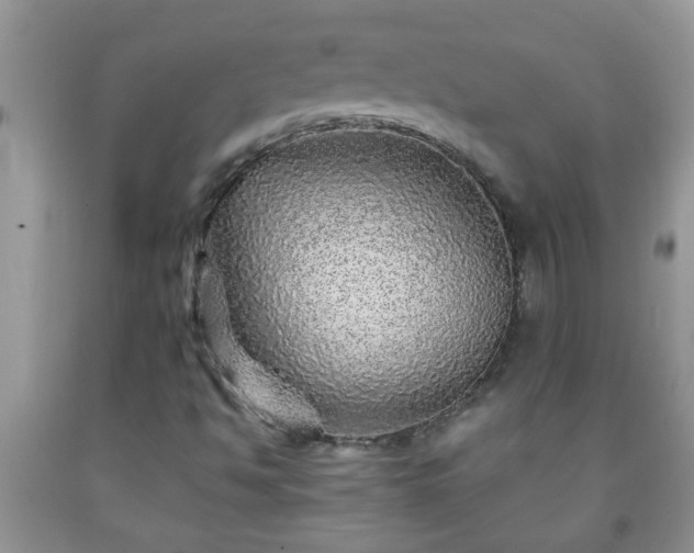 X0000092041494200709191049