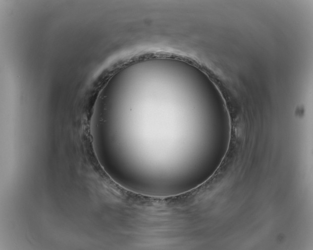 X0000092041495200709191049