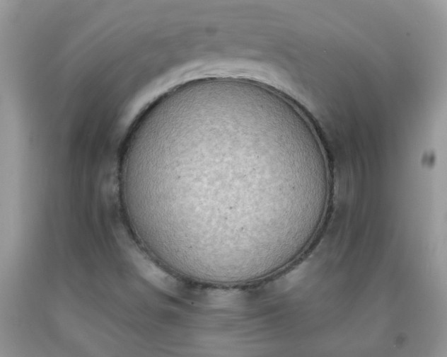 X0000092041498200709191049