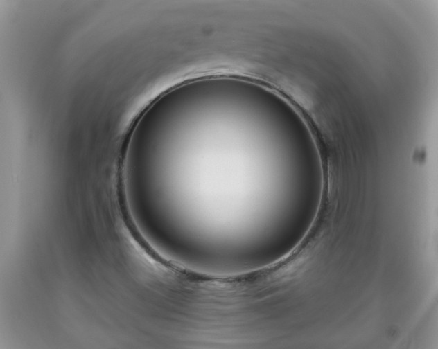 X0000092041500200709191049