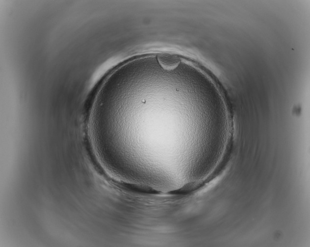 X0000092041501200709191049