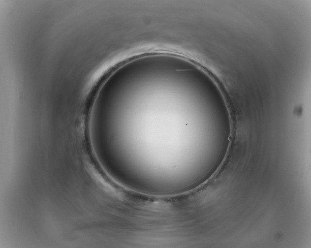 X0000092041503200709191049