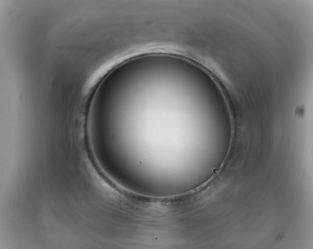 X0000092041504200709191049