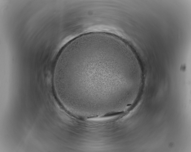 X0000092041505200709191049