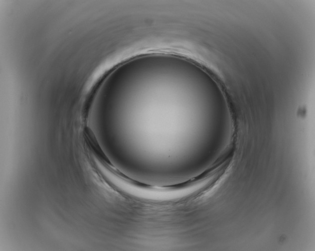 X0000092041506200709191049