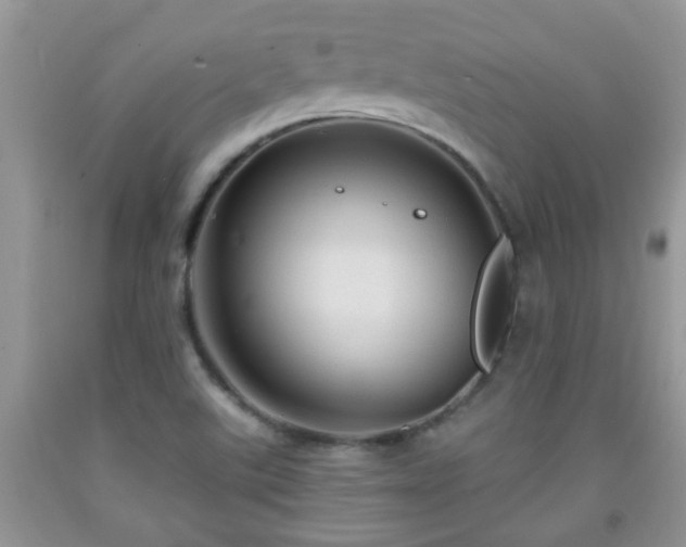 X0000092041507200709191049