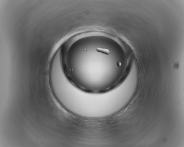 X0000092041508200709191049