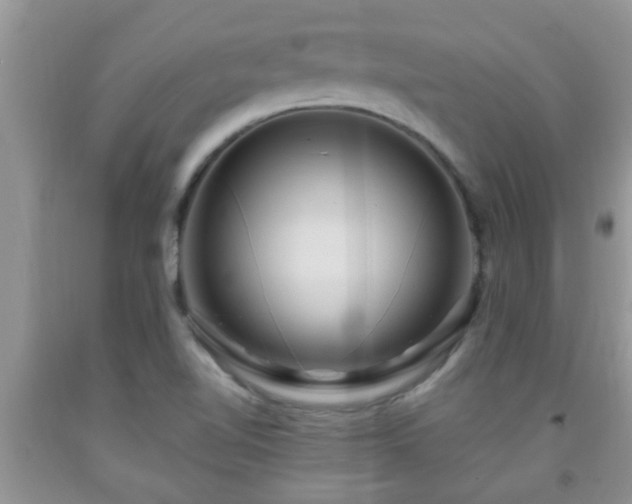 X0000092041510200709191049