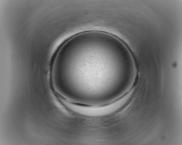 X0000092041511200709191049