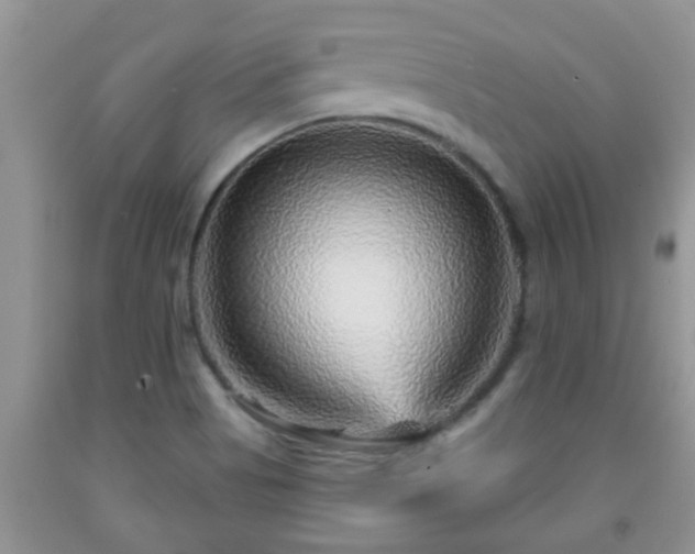 X0000092041513200709191049