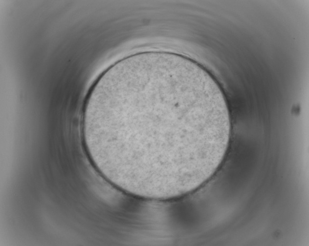 X0000092041514200709191049