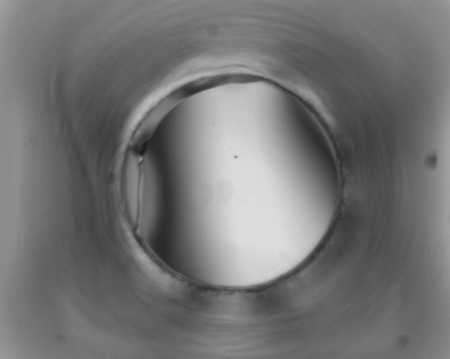 X0000092041516200709191049