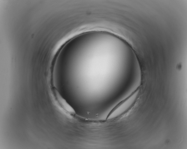 X0000092041518200709191049