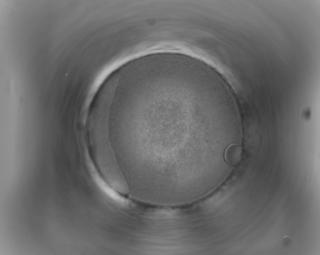 X0000092041519200709191049