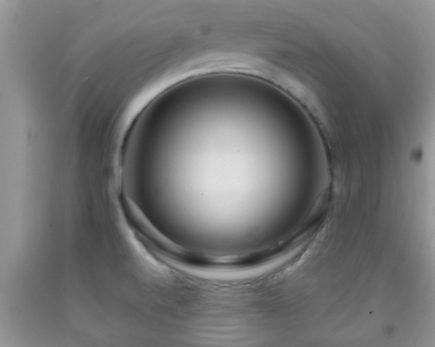 X0000092041520200709191050