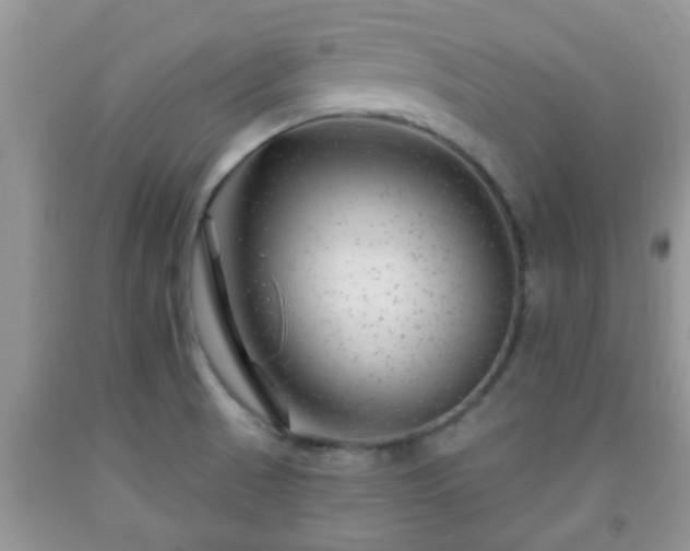 X0000092041521200709191050