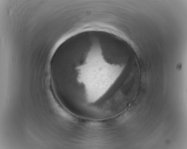 X0000092041522200709191050