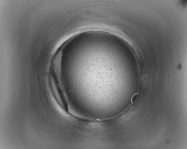 X0000092041523200709191050