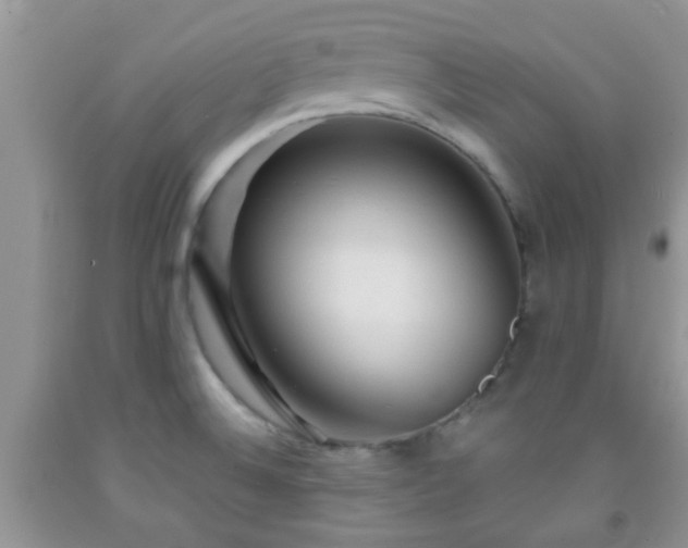 X0000092041524200709191050