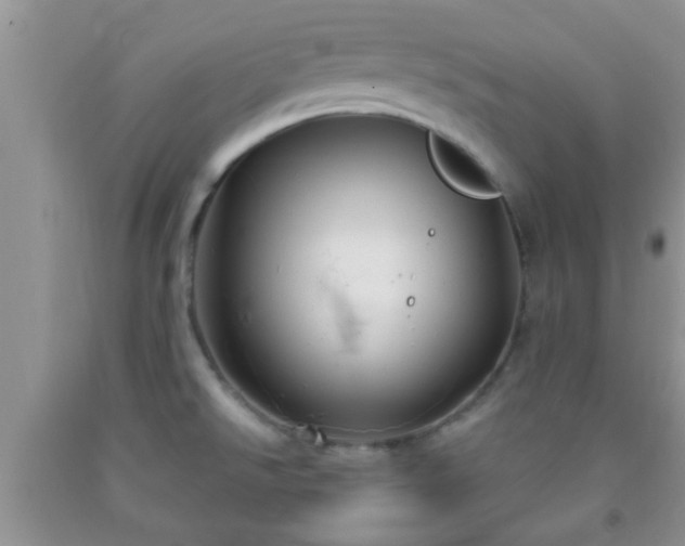 X0000092041526200709191050