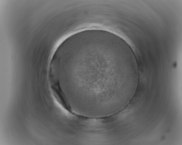 X0000092041527200709191050