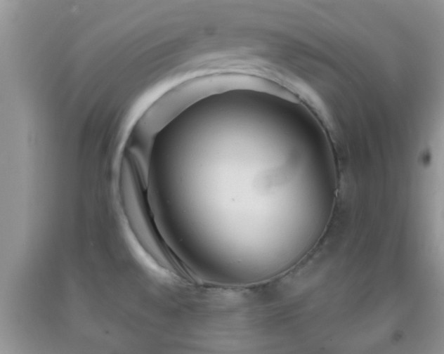 X0000092041528200709191050