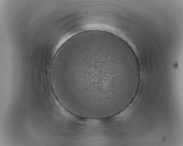 X0000092041529200709191050