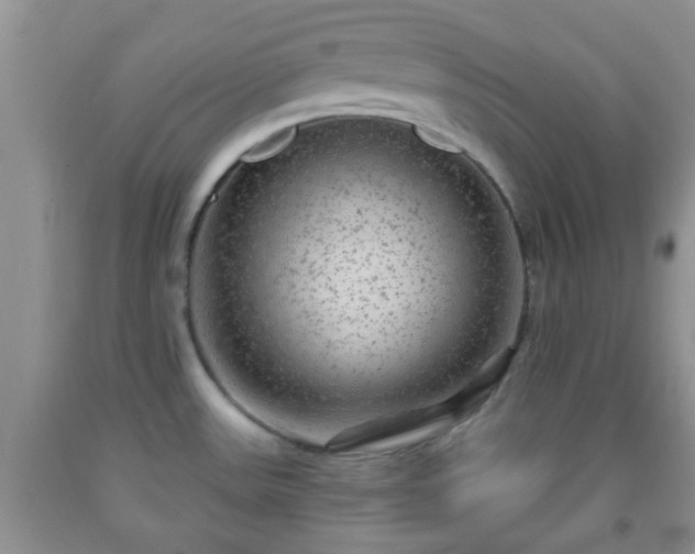 X0000092041531200709191050