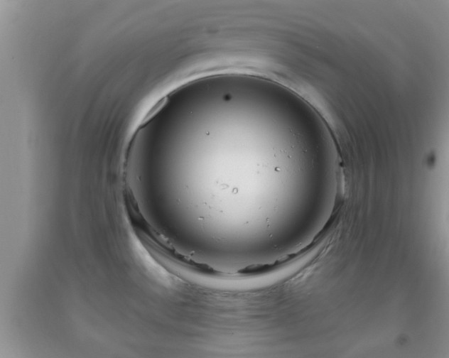 X0000092041532200709191050