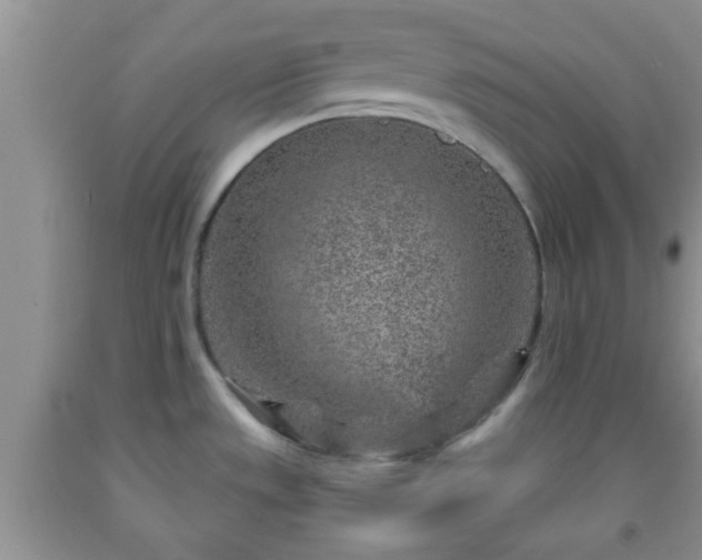 X0000092041533200709191050