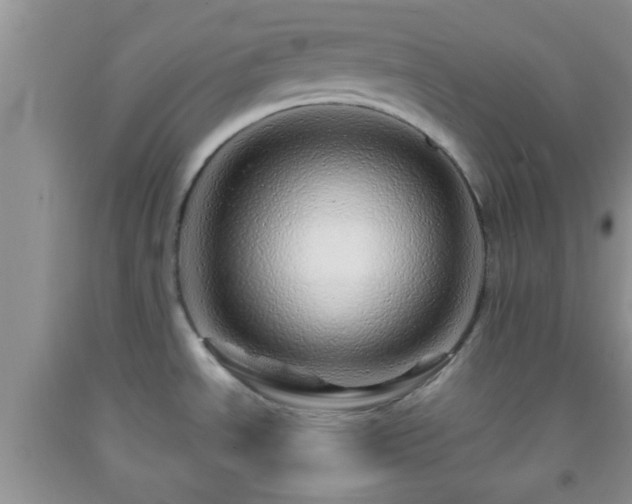 X0000092041534200709191050