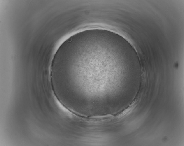 X0000092041535200709191050