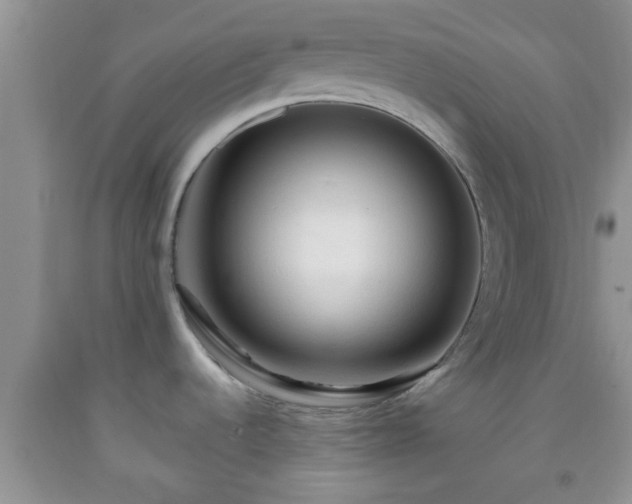 X0000092041536200709191050